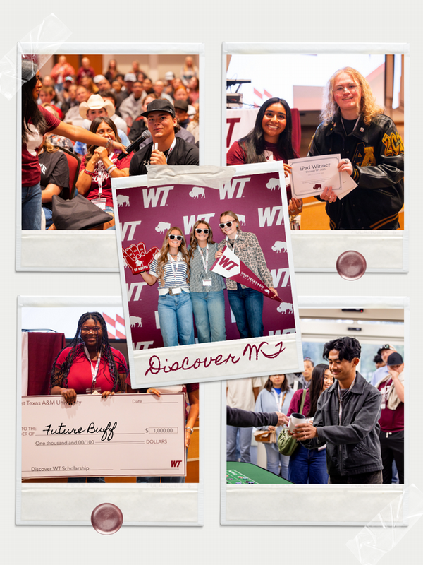 DIscover WT collage - web2
